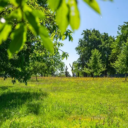 Hotel Schlossberg 3*